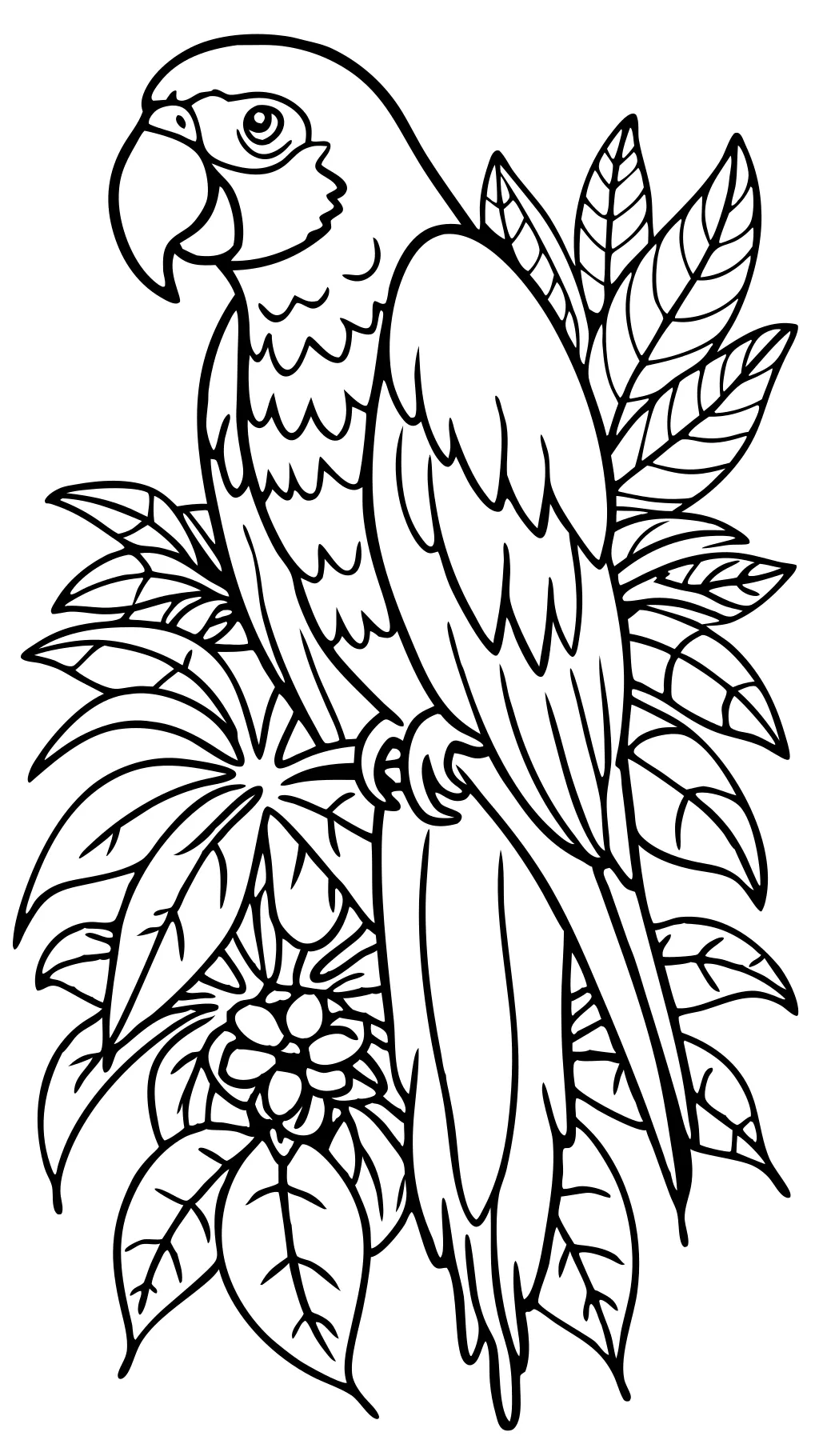 coloriages macaw